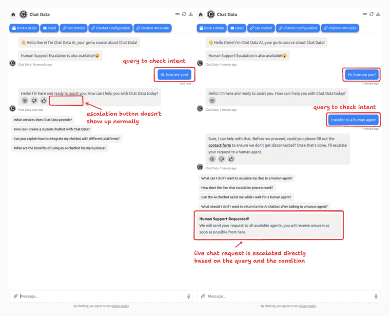 Lazy Live Chat Effect
